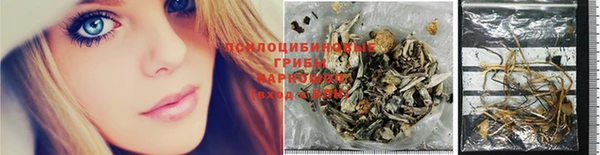 дурь Аркадак