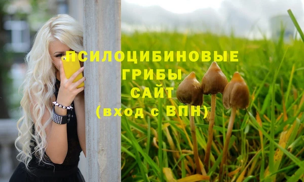эйфоретик Армянск