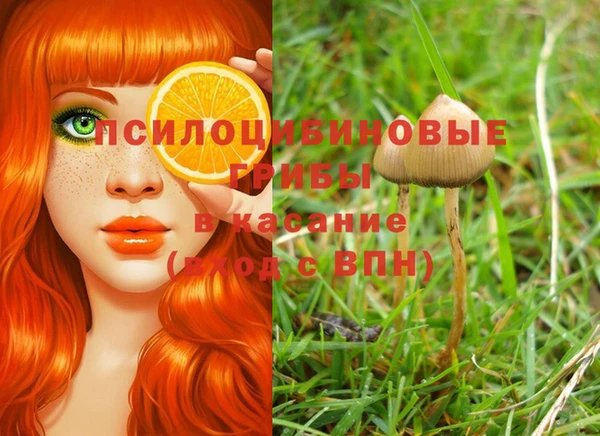 эйфоретик Армянск