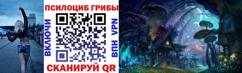 кракен как войти  Лаишево  Псилоцибиновые грибы Psilocybine cubensis 
